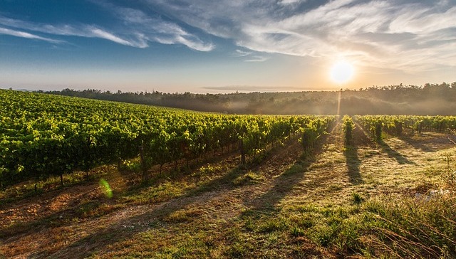 La construction symbolique du vin et du lieu dans la Vallée de l’Okanagan